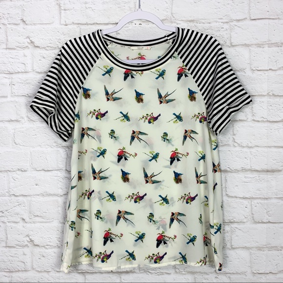 Le Lis Tops - Le Lis Bird Exotic Semi Sheer Striped Sleeve Top S